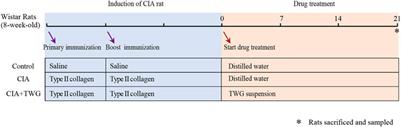 Tripterygium wilfordii glycosides ameliorates collagen-induced arthritis and aberrant lipid metabolism in rats